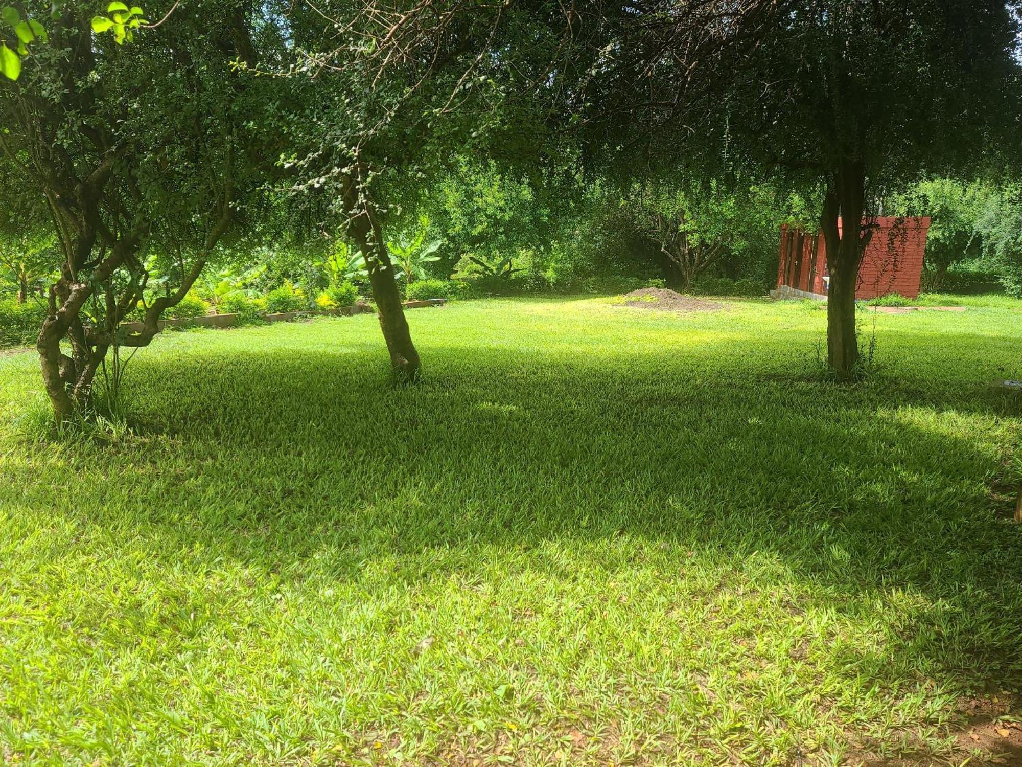 Mkomazi Hotels And Camps Hegoma Exterior photo